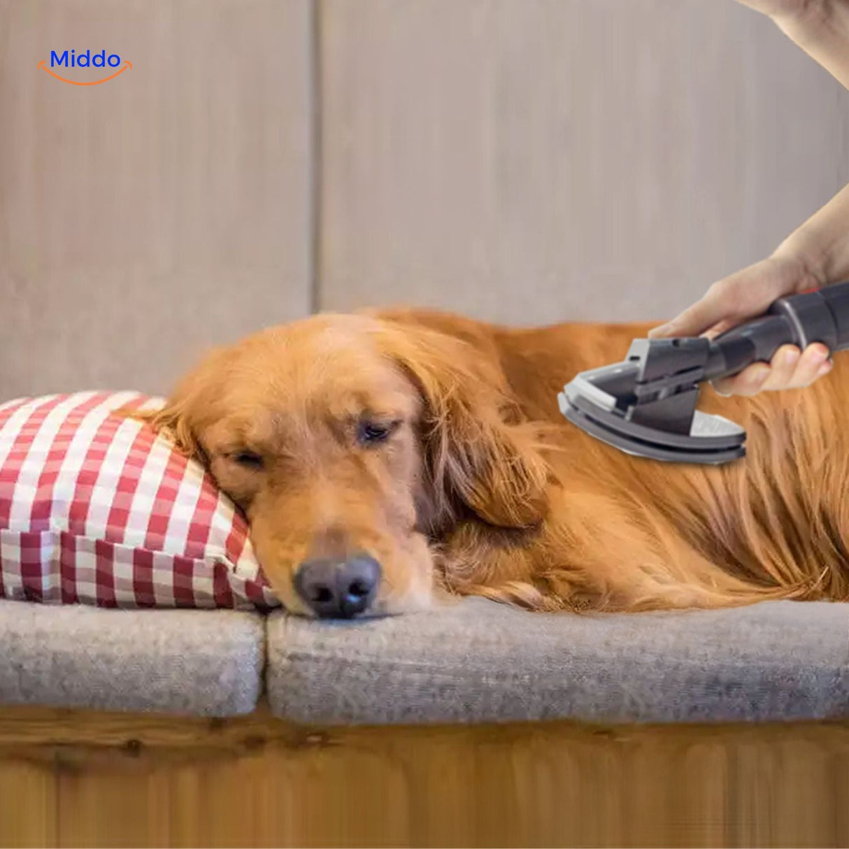 brosse visiclean et ses accessoires pour aspirer les poils de chien pendant le toilettage