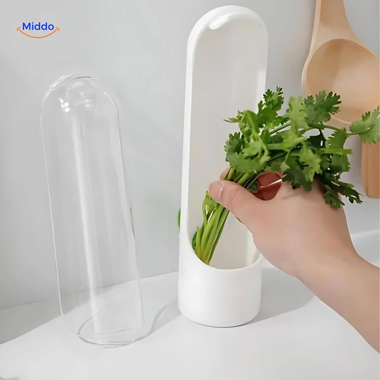 boite specialisee pour la conservation de la coriandre fraiche au refrigerateur