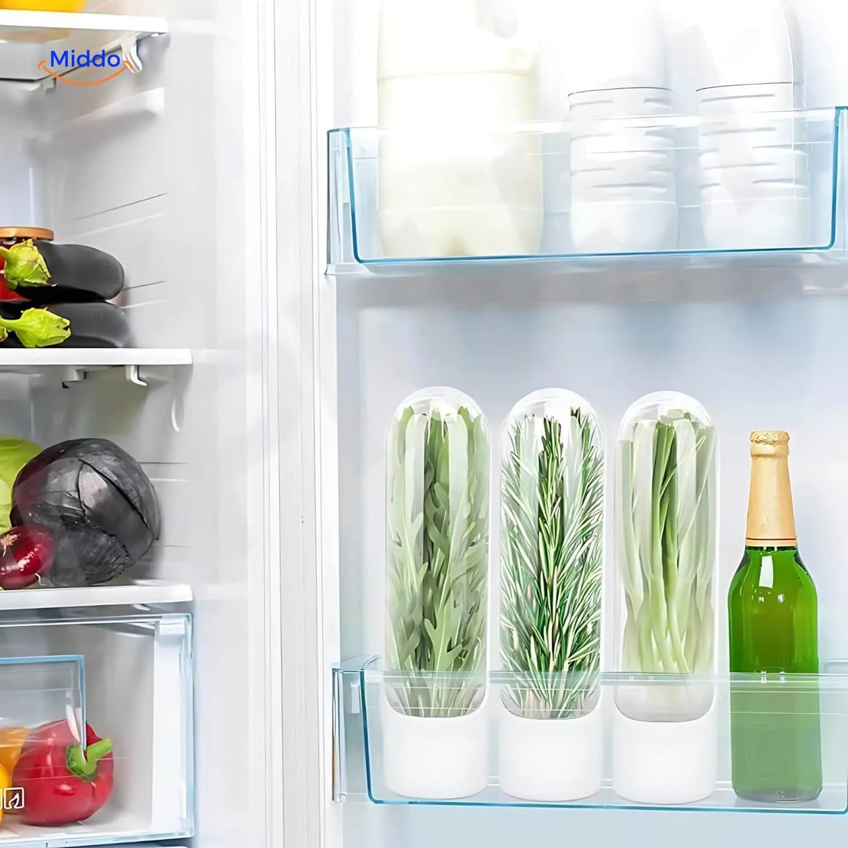 boite hermetique pour conserver le persil frais et d'autres herbes aromatiques au refrigerateur