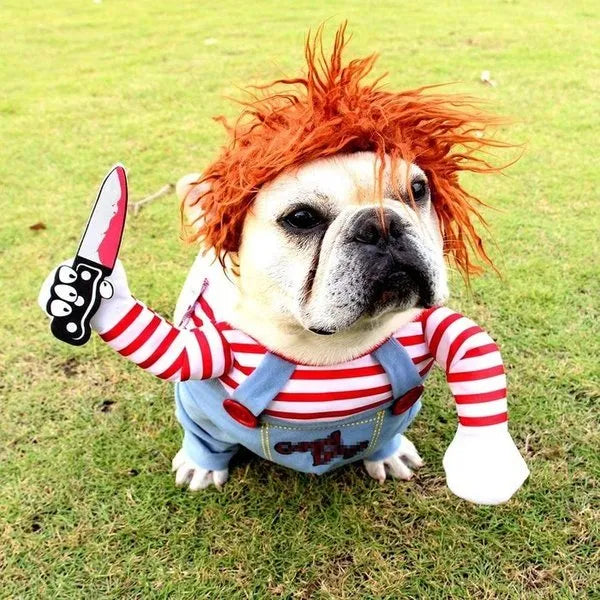 bulldog déguisé en poupée chucky avec perruque rouge et couteau, look effrayant pour halloween