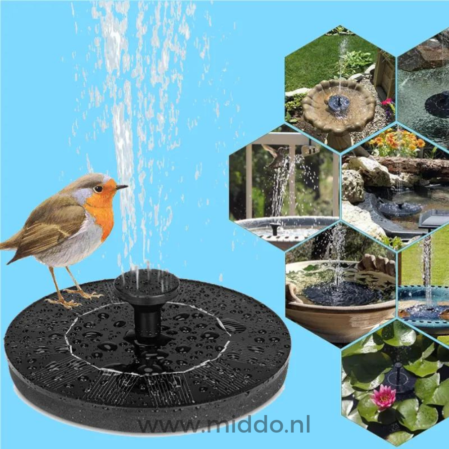 fontaine écologique pour bassin avec rougegorge posé sur le rebord