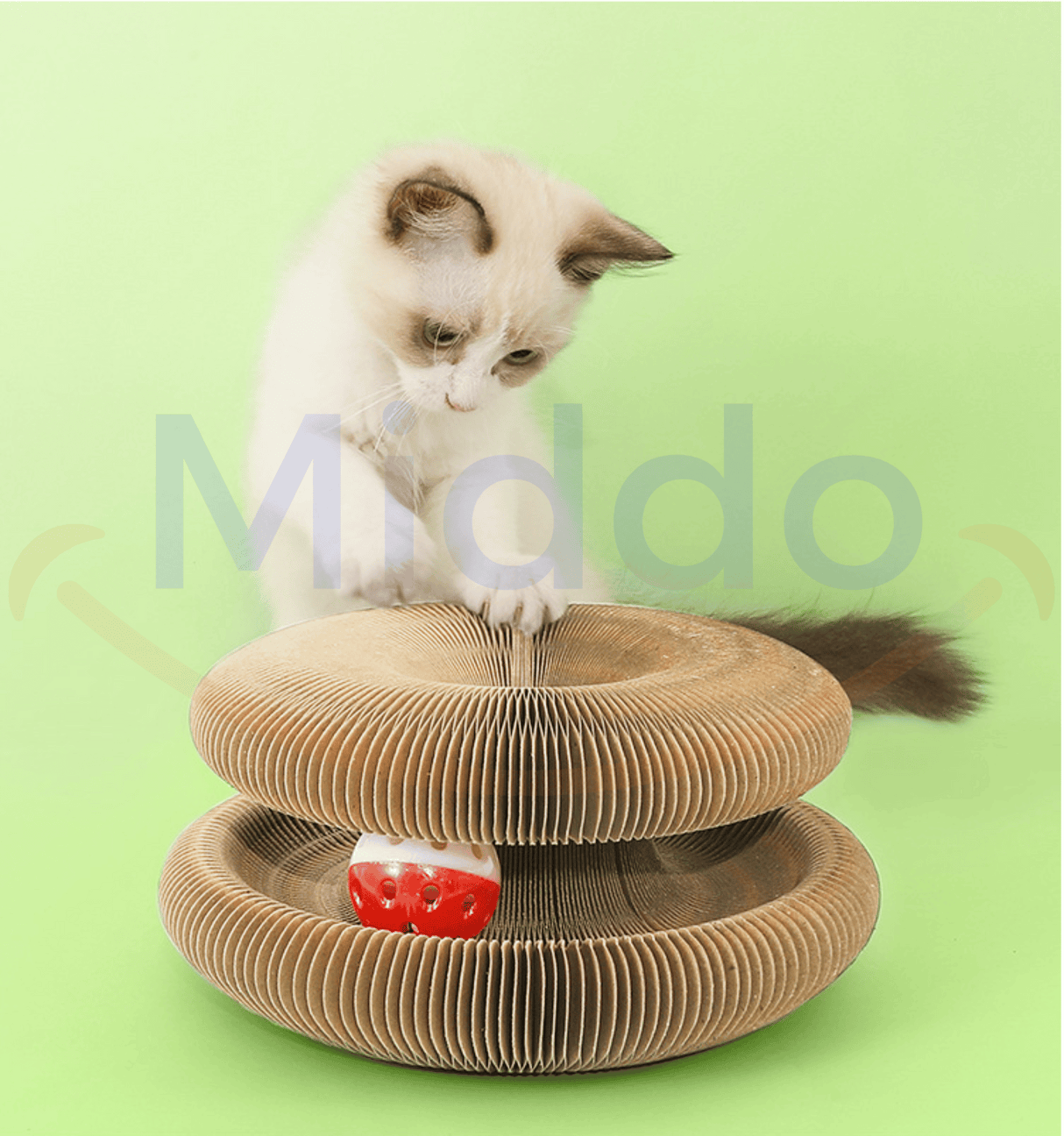 chat curieux qui explore et joue sur le griffoir dans un environnement naturel vert