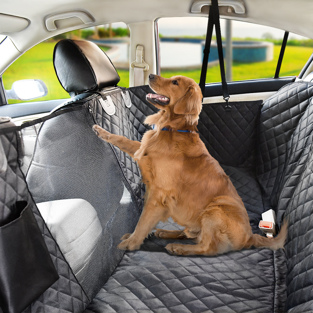 housse de protection pour animaux installée sur la banquette arrière d'une voiture avec un chien brun