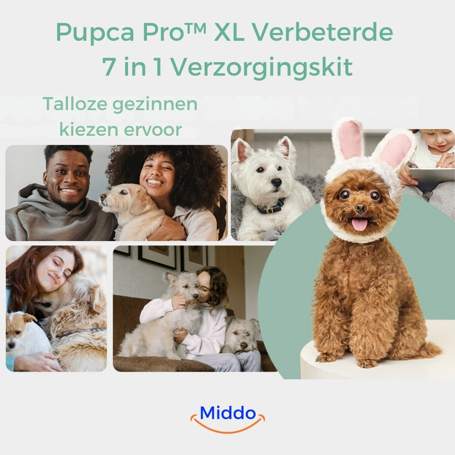 kit de toilettage adapté à plusieurs animaux de compagnie, idéal pour les familles avec chiens et chats