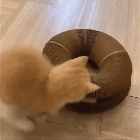 griffoir pour chat en action, le chat gratte, joue et se détend confortablement