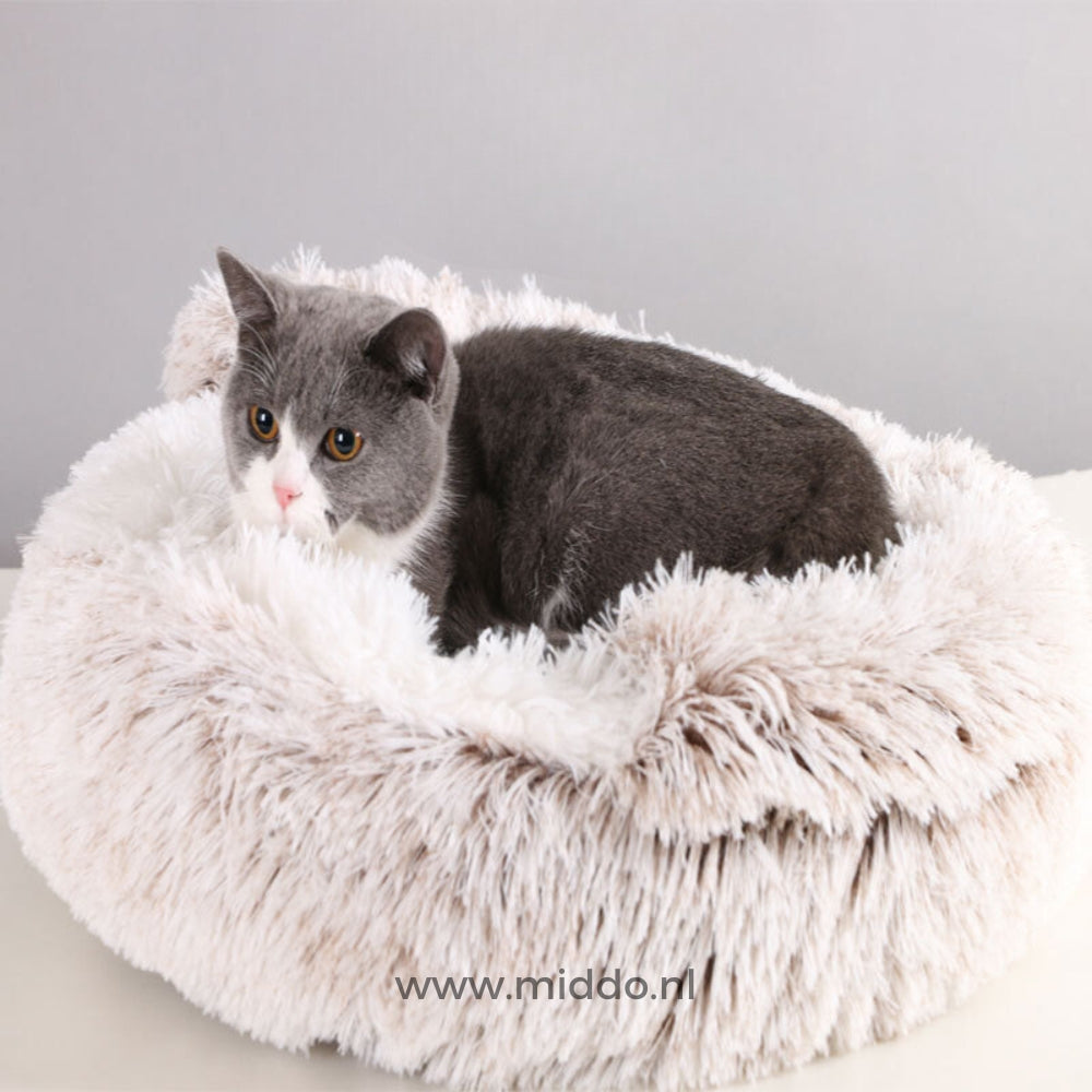 chat installé dans un lit pour animaux confortable coloris beige clair