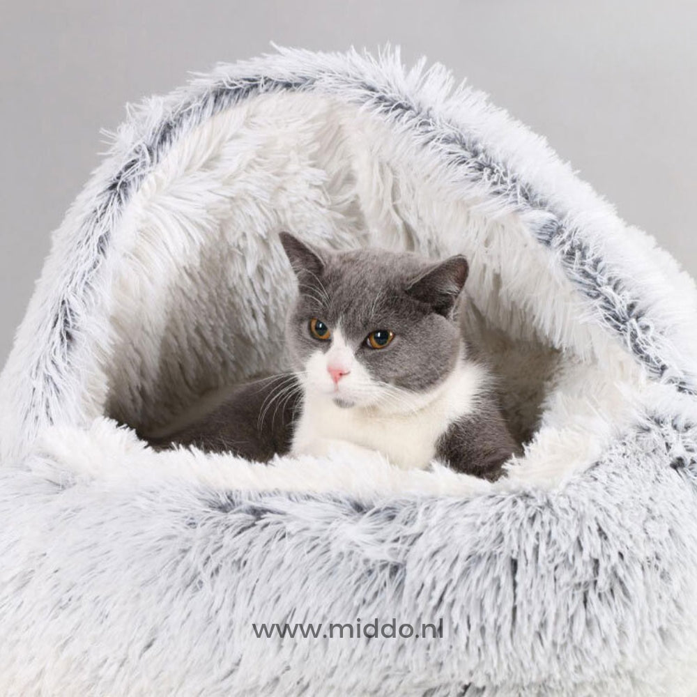 chat reposant dans un lit pour animaux luxueux coloris gris