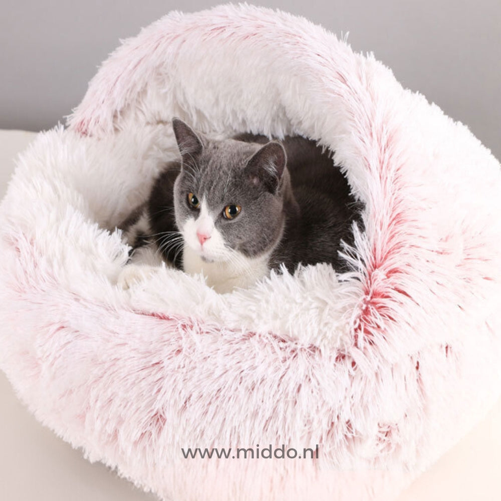 chat blotti dans un lit pour animaux rond et doux coloris rose