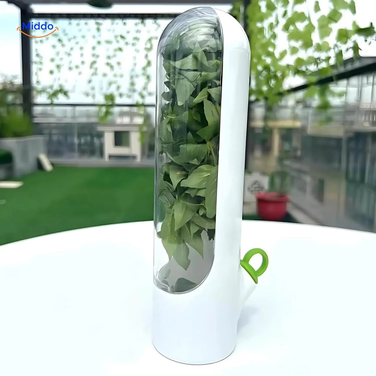 outil de conservation des herbes aromatiques pose sur une table, design pratique pour la cuisine