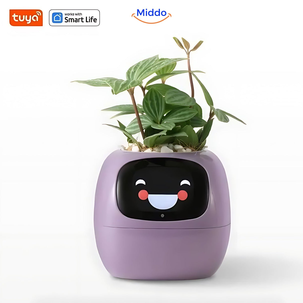 pot de fleurs intelligent happy ivy en coloris lilas, suivi automatique de vos plantes