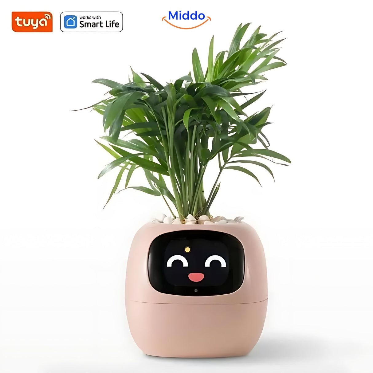 pot de fleurs intelligent happy ivy en coloris rose, idéal comme cadeau ou décoration