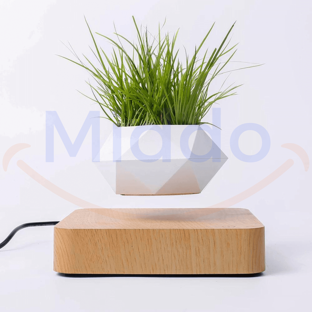 pot flottant blanc avec plante verte en lévitation sur base brun clair