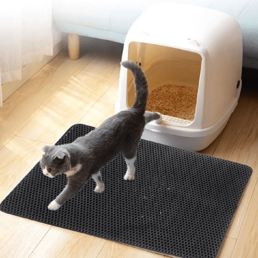 tapis de litière pour chat devant la caisse, retient les granulés pour garder la maison propre