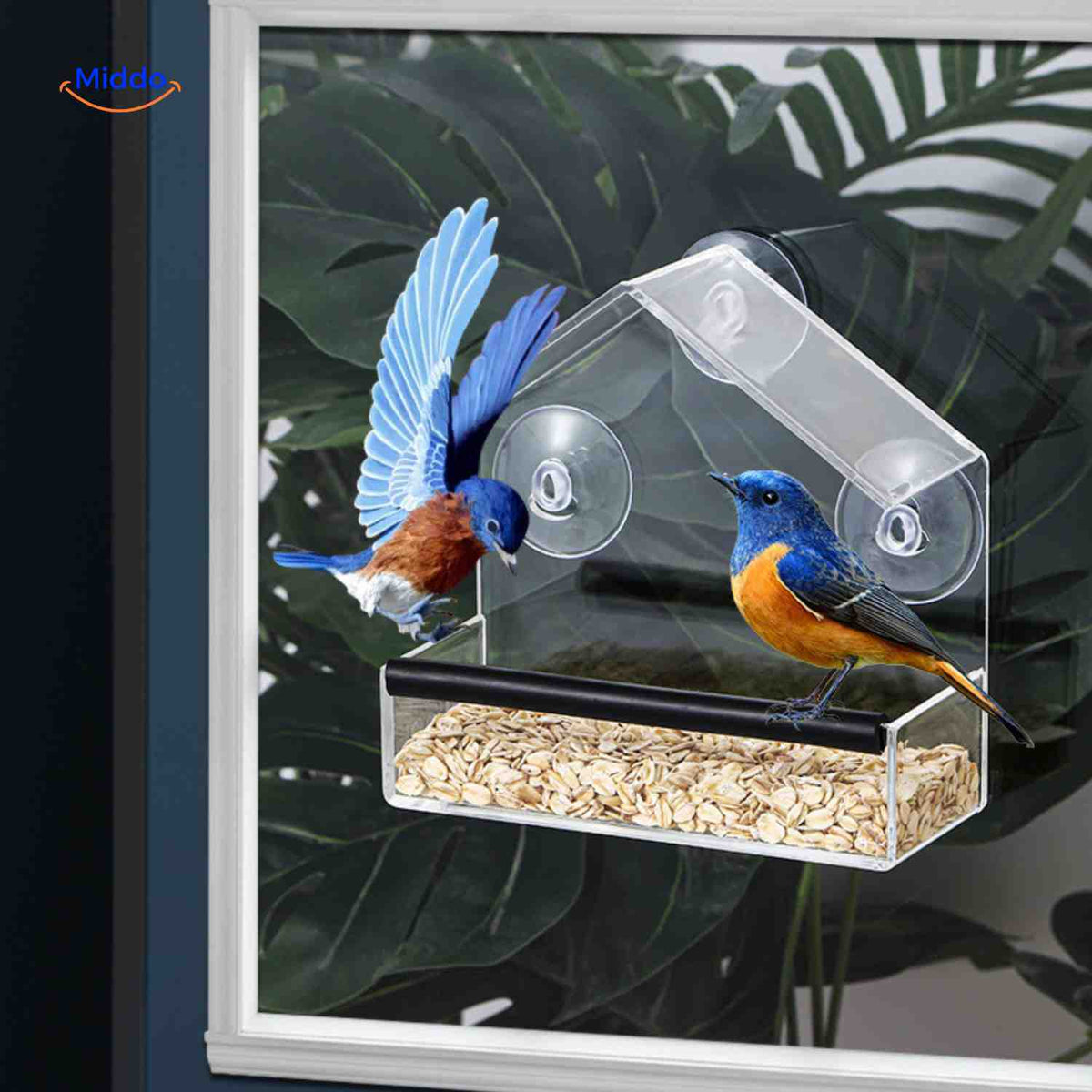 Mangeoire AviHaven transparente à ventouses pour oiseaux, vue 09