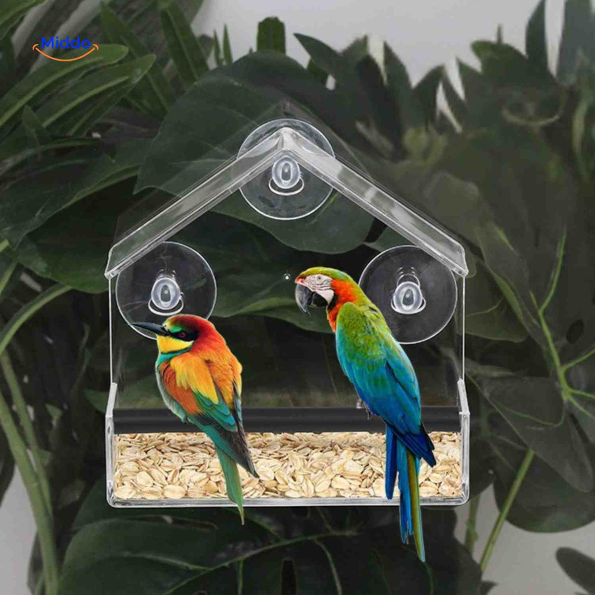 Mangeoire AviHaven transparente à ventouses pour oiseaux, vue 10