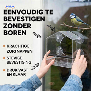 Mangeoire AviHaven transparente à ventouses pour oiseaux, vue 05