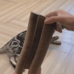 Le Kattenscratcher™ | Gratter et Jouer pour Chaque Chat