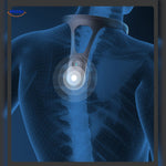 Hipee Smart skeletweergave van halsband activatie www.middo.nl