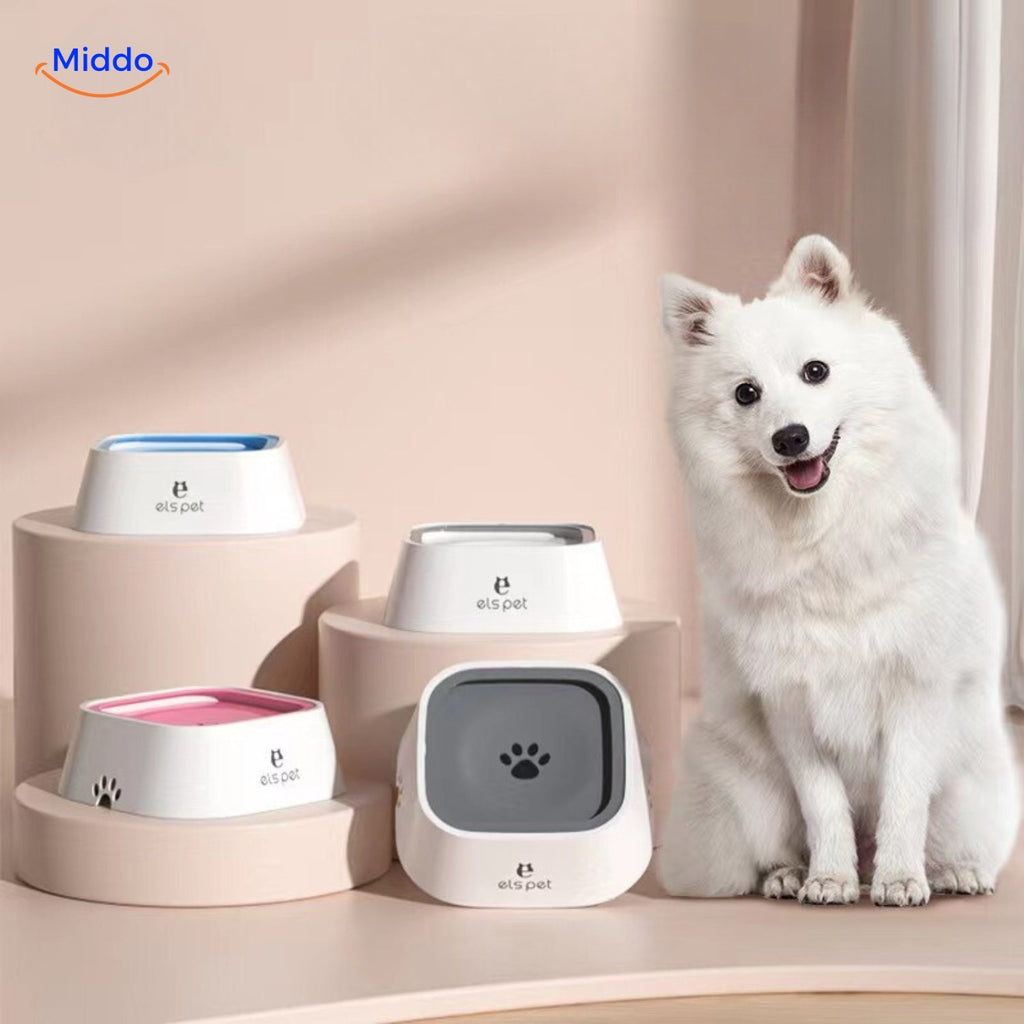Blije hond op de foto met alle kleuren HydroPaws