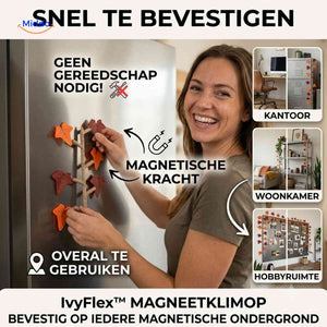 Lierre magnétique IvyFlex décoratif et modulaire, vue 08
