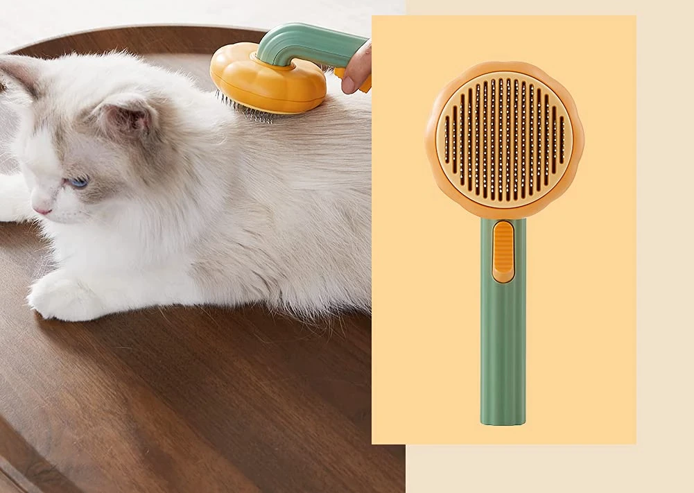 Kat wordt geborsteld met makkelijk te gebruiken borstel.