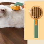 Kat wordt geborsteld met makkelijk te gebruiken borstel.