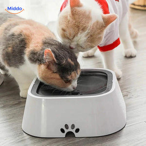abreuvoir anti-éclaboussures pour chat, sol propre sans flaques d'eau autour du bol