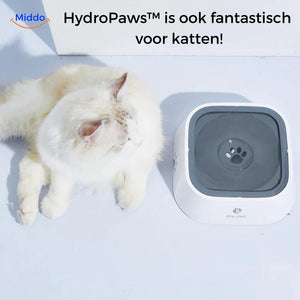 abreuvoir anti-éclaboussures blanc avec dimensions indiquées, adapté aux chats