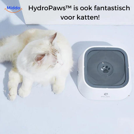 abreuvoir anti-éclaboussures blanc avec dimensions indiquées, adapté aux chats
