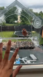 Mangeoire AviHaven transparente à ventouses pour oiseaux, vue 16