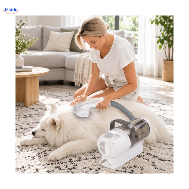 Brossage du chien avec Furiva