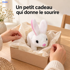 BunnyBuddy Lapin blanc en peluche emballé comme un cadeau
