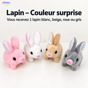 BunnyBuddy Lapin – Couleur surprise