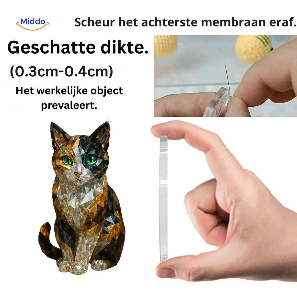 calendrier de l'avent avec figurine chat en cristal présenté comme cadeau dans les mains