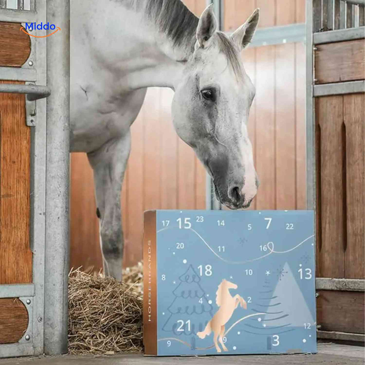 cheval dans l'écurie à côté de la boîte du calendrier de l'avent 24 jours