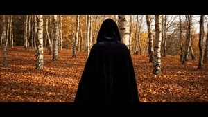 cape velours noire à capuche en forêt, atmosphère halloween mystérieuse