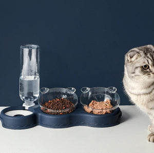 chat debout à côté du plateau gamelle 3 en 1 avec croquettes, pâtée et bouteille d'eau