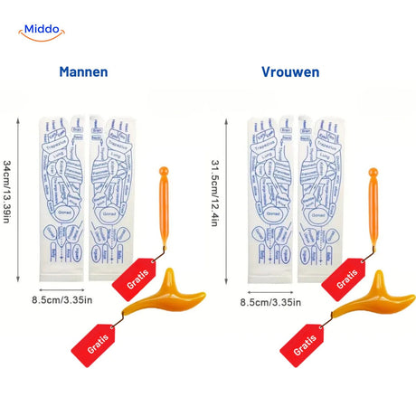 chaussettes acupression comparaison des tailles pour hommes et femmes
