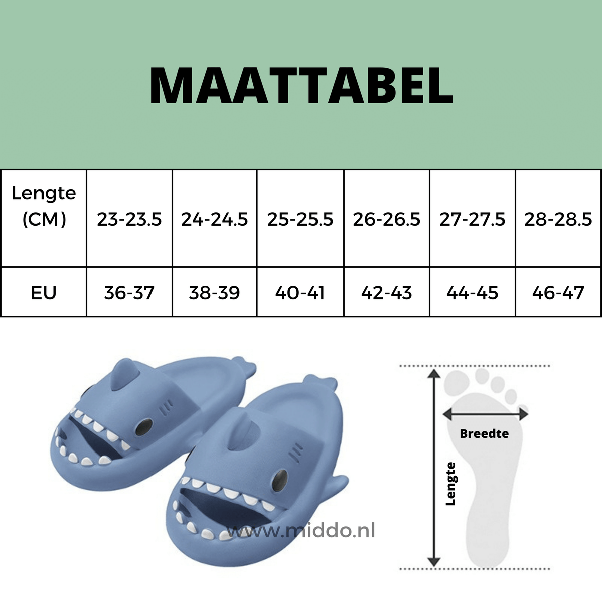 chaussons requin d'été coloris vert clair, vue de face sur fond assorti