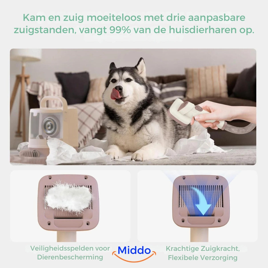 chien brossé et aspiré simultanément grâce au kit de toilettage tout-en-un