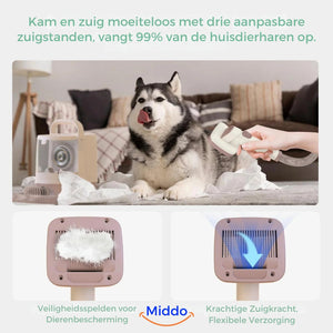 chien brossé et aspiré simultanément grâce au kit de toilettage tout-en-un