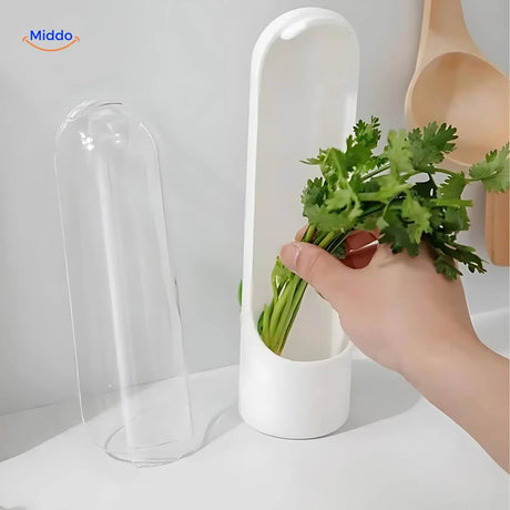 boite specialisee pour la conservation de la coriandre fraiche au refrigerateur