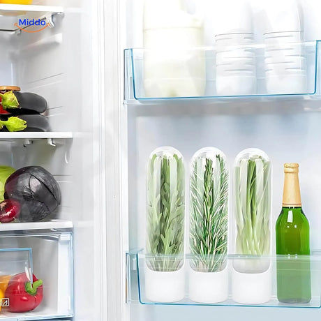 boite hermetique pour conserver le persil frais et d'autres herbes aromatiques au refrigerateur