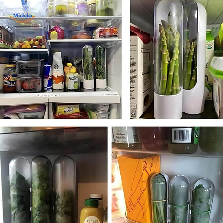 conteneur pour refrigerateur concu pour conserver les herbes aromatiques fraiches plus longtemps