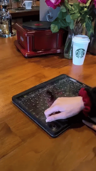 coque iPad étanche et lavable avec couvercle transparent, protection complète de l'écran
