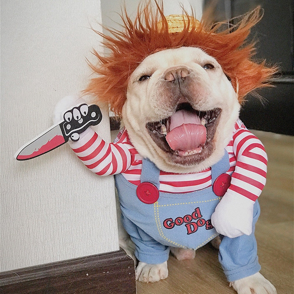 bulldog souriant déguisé en poupée chucky avec perruque rouge et couteau pour halloween