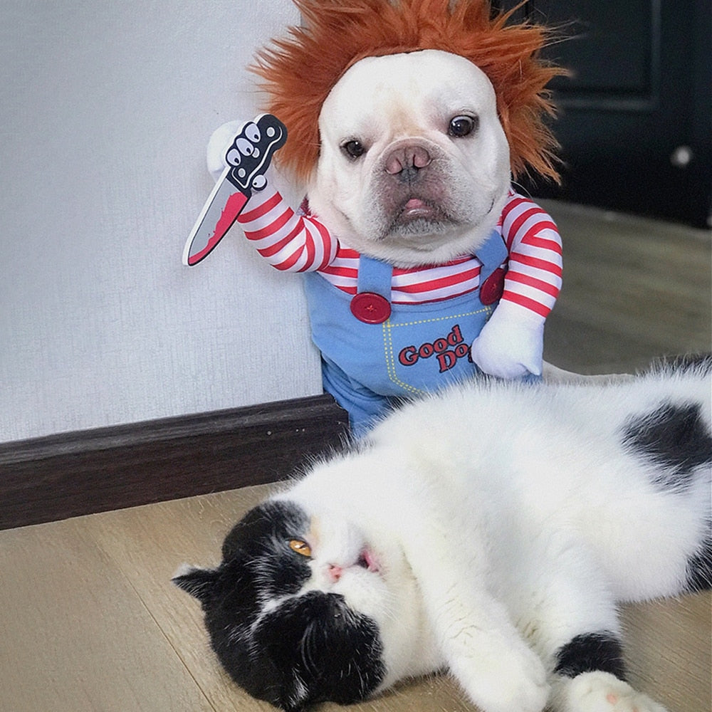 chien déguisé en poupée horrifiante avec un chat allongé à ses côtés pour halloween