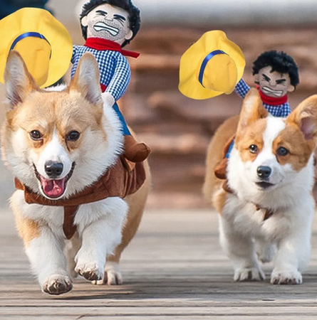 corgis déguisés en cowboys courant avec des poupées sur le dos, déguisement drôle pour animaux