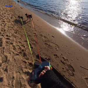 deux chiens en promenade sur la plage avec une laisse rétractable 2-en-1