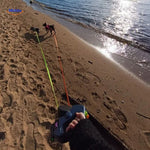 deux chiens en promenade sur la plage avec une laisse rétractable 2-en-1